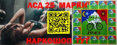 ALPHA PVP Камышлов