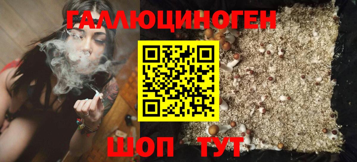 Псилоцибиновые грибы мухоморы Волоколамск