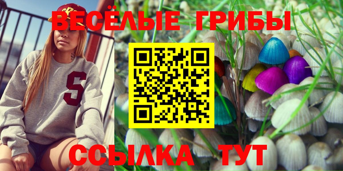 Псилоцибиновые грибы Psilocybine cubensis  Вход с VPN  Волоколамск 